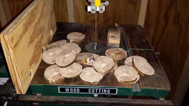  Mes Copeaux de Bois de Pomme BRICOLAGE après la Coupe 