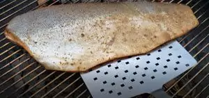 Flipping fillet with Best of BBQ Fish Spatula